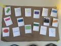 IMG_9134 (1)